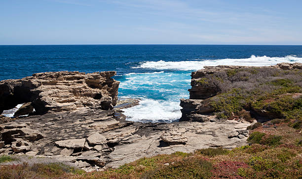 istock Cape Vlamingh, Rottnest Island 532300195