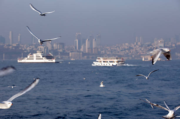 istanbul stock photo