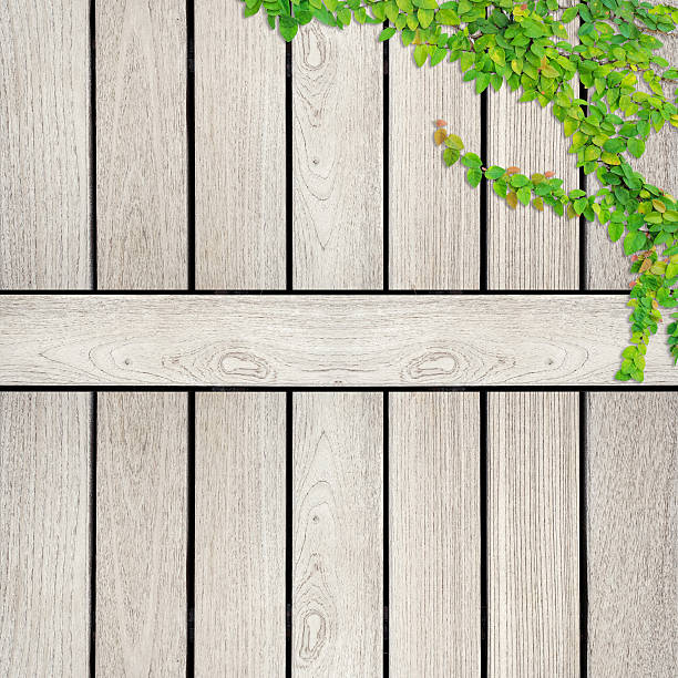 Old shed with creeping ivy plant removed of the walls as background
