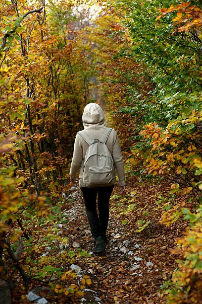 Photo of Girl walking in the forest