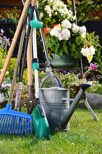 istock Watering can and tools in the garden 532302987