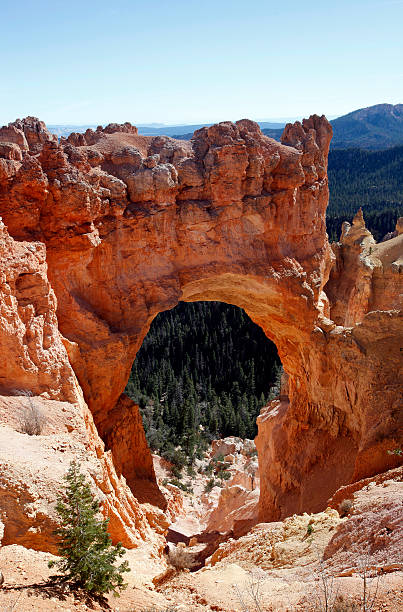 istock Bryce Canyon National Park, Utah, USA 532304243