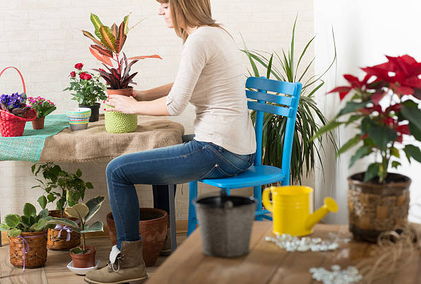 mulher organização de flores em casa - hoby imagens e fotografias de stock