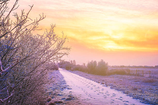Winter sunset across plains in Colorado with falling snow