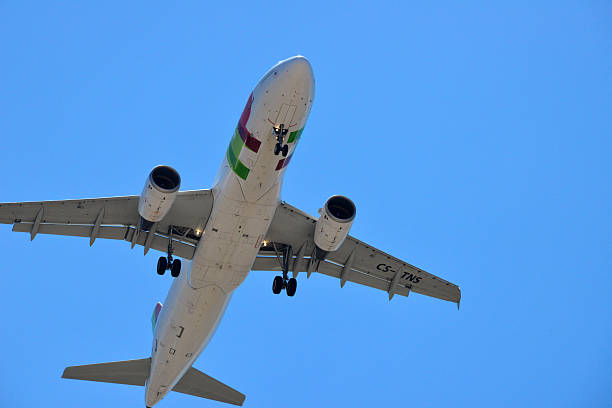 ответвитель португалия airliner in flight - tap airplane imagens e fotografias de stock