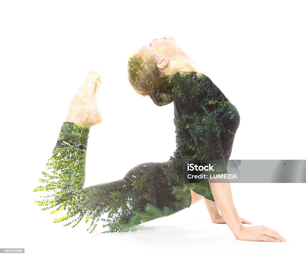 Exposición Retrato de belleza con camas dobles - Foto de stock de Yoga libre de derechos