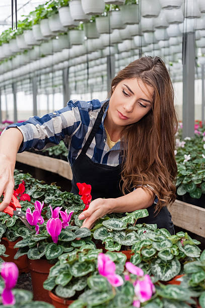 istock Florists woman working 532316625