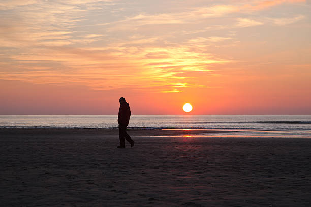 istock man alone on beach at sundown in holland 532316961