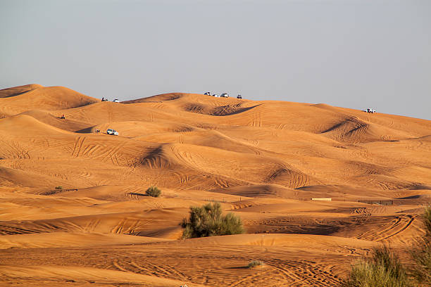 istock Safari in the Dubai desert 532319163