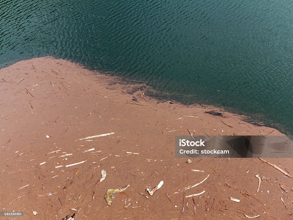 Driftwood and Rubbish Driftwood and rubbish collecting in a lake in Ticino, Switzerland. 2015 Stock Photo