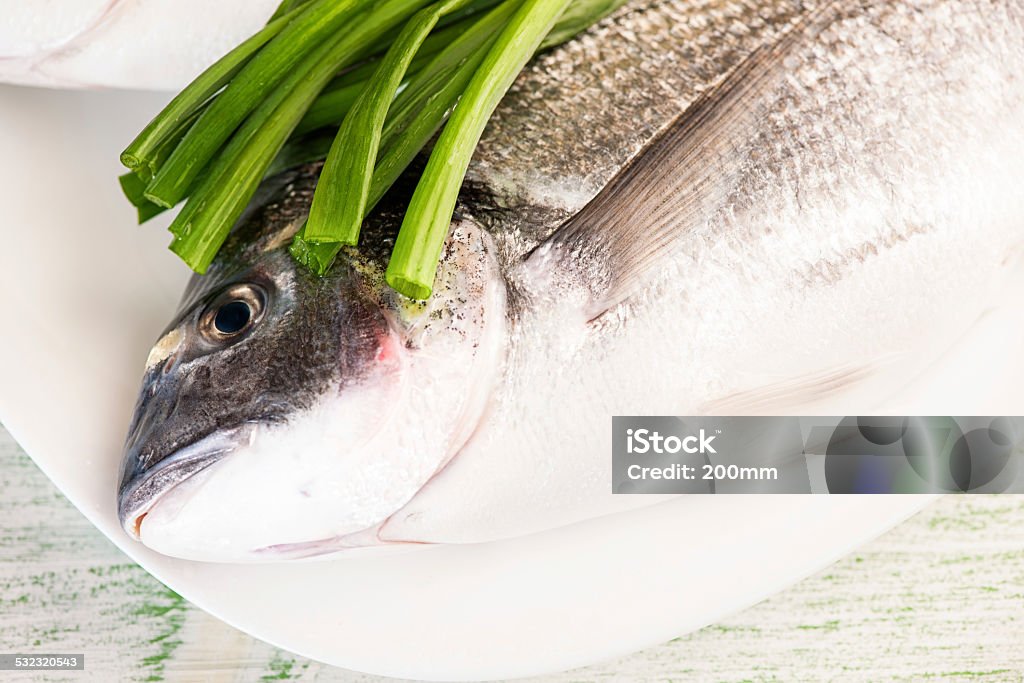 Seafood Raw and fresh Gilt-head bream with spring onions 2015 Stock Photo