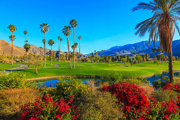 スプリングパームスプリングスゴルフコース、池、カリフォルニア州） - lawn desert golf california ストックフォトと画像