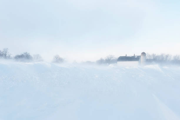Wintry landscape view with a barn in a snowy tree grove