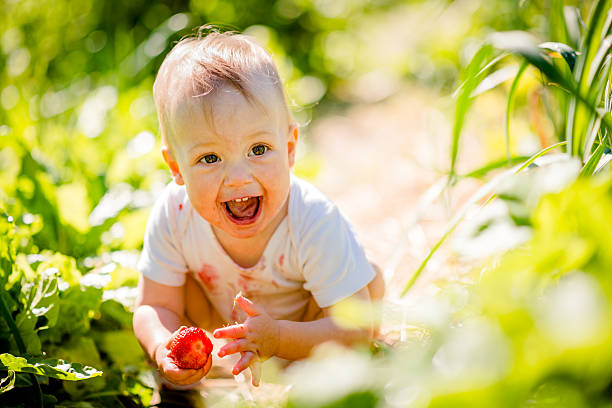 Little child with strawberry stock photo