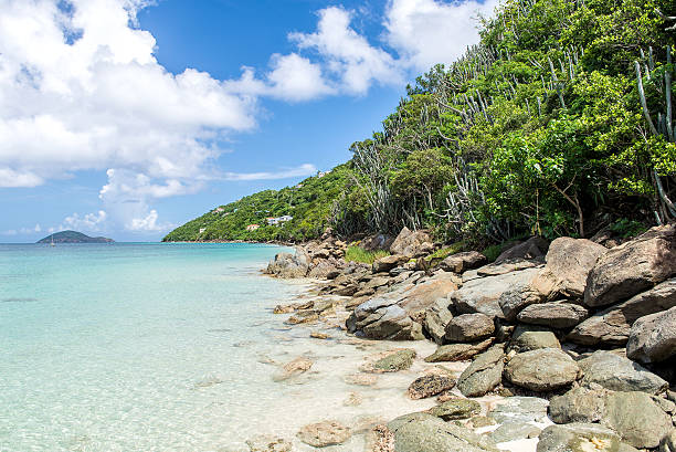 istock rocky shore on the tropical island 532325814