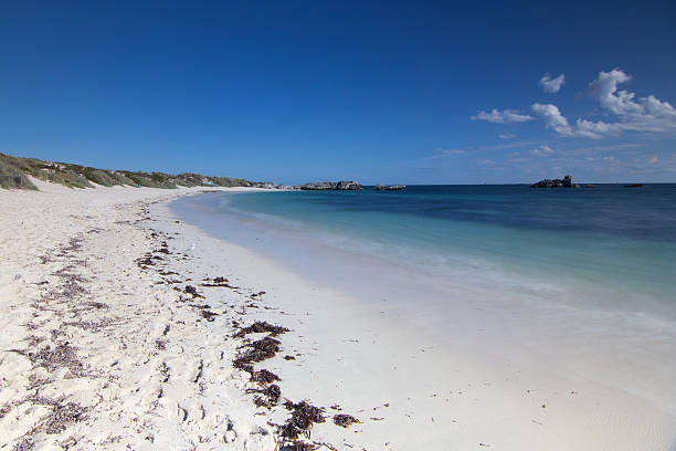istock Rottnest Island, Western Australia 532328958