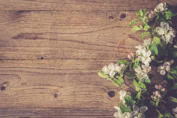 istock Wooden background and apple blossoms 532330772