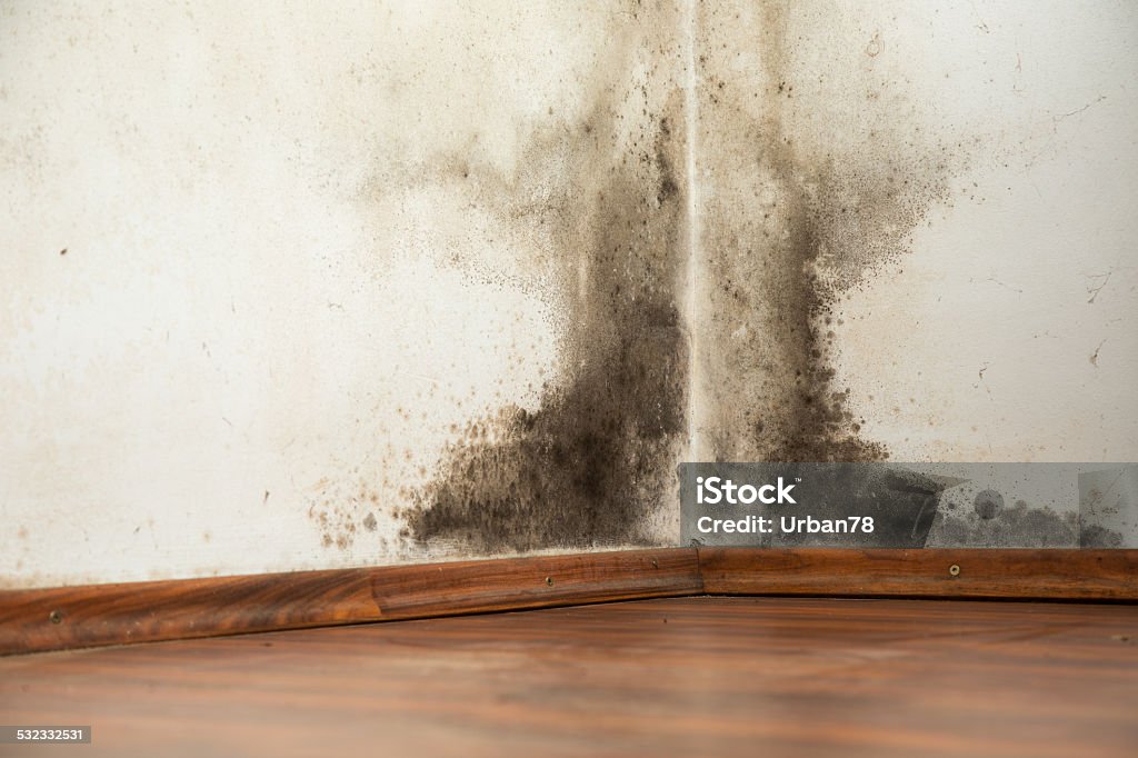 Black mould on a wet wall Black mould buildup in the corner of an old house Fungal Mold Stock Photo