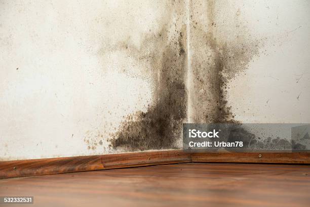 Black Mould On A Wet Wall Stock Photo - Download Image Now - Fungal Mold, Wall - Building Feature, Toxic Mold