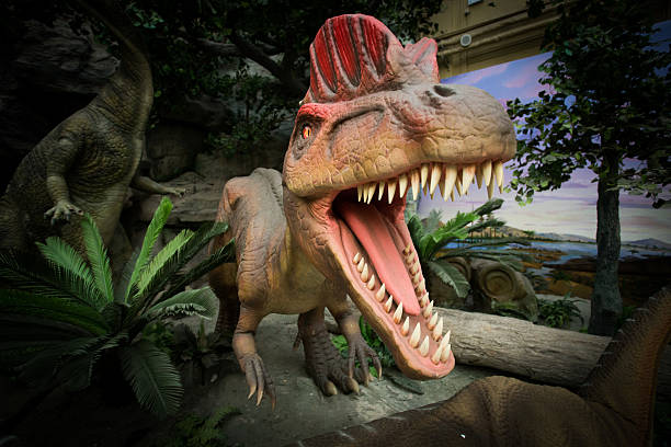 istock The dinosaurs in the fight 532333131