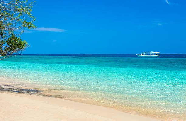istock Beautiful beach and tropical turquoise sea 532333390