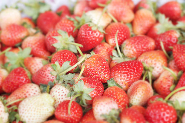 a lot of fresh strawberry fruit