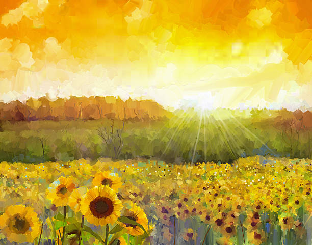 ilustraciones, imágenes clip art, dibujos animados e iconos de stock de girasol flor blossom.oil medio de un atardecer landscap rural - sunflower landscape flower field