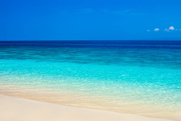 istock Beautiful beach and tropical turquoise sea 532334320