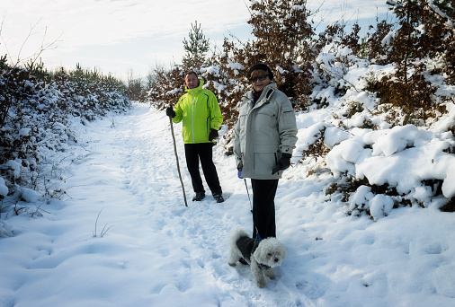 Senior Couple Walking Dog Through Snowy forest
