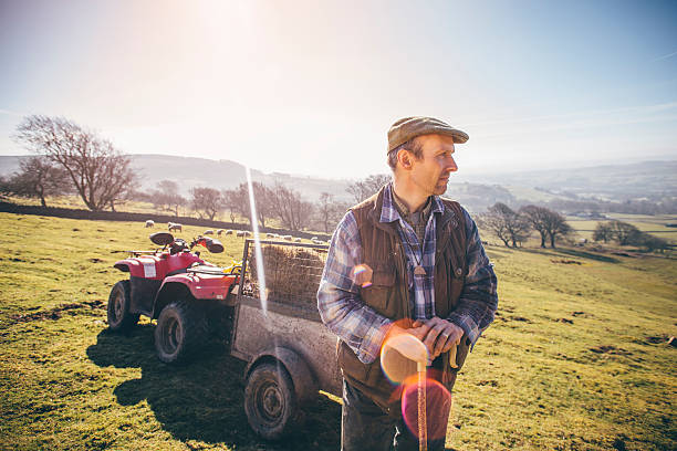 istock Sunny Morning on the Farm 532335934