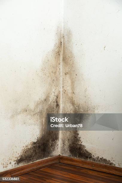Black Mould On A Wet Wall Stock Photo - Download Image Now - 2015, Cluttered, Corner