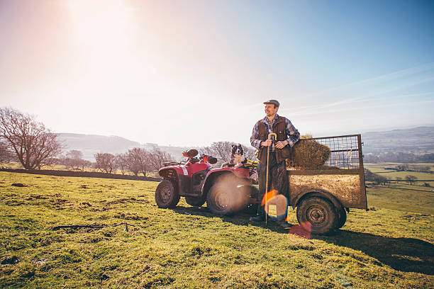 istock Mature Farmer and His Sheepdog 532337548