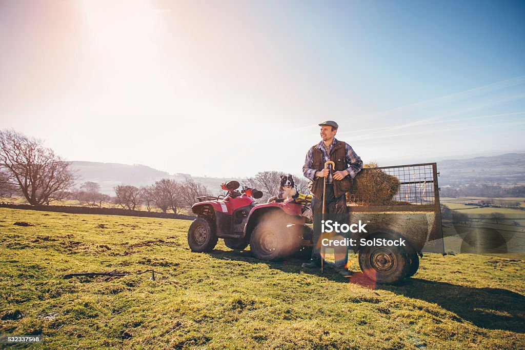 Mature Farmer and His Sheepdog Mature farmer and his sheepdog sitting on a quad bike in a large field. Farmer Stock Photo