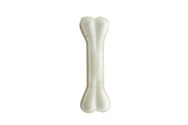 istock Dog bone in the form of alphabet. 532337611