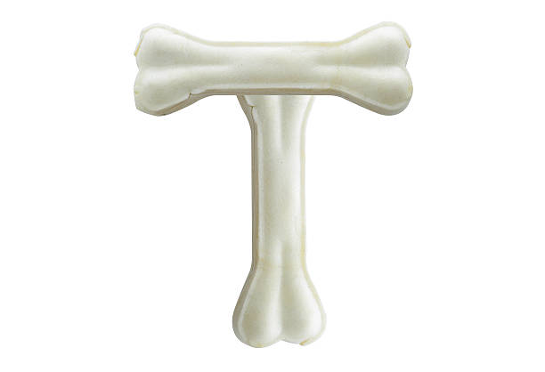 istock Dog bone in the form of alphabet. 532337675