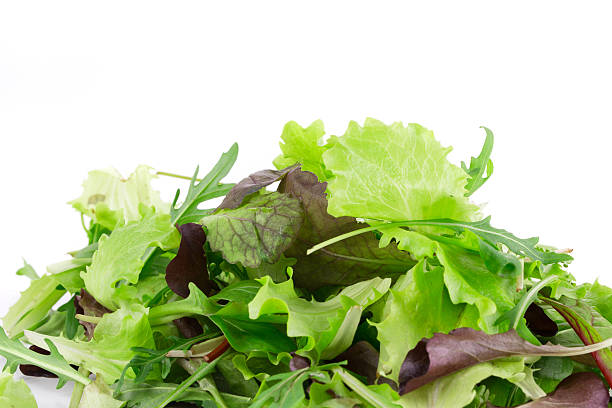 istock Green and red leaf of lettuce. 532338264