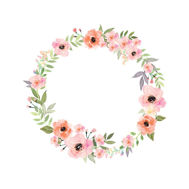 벡터 꽃 프페임. 우아하다 플로럴 컬렉션 격리됨에 꽃. - wedding invitation rose flower floral pattern stock illustrations