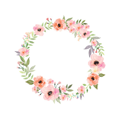 Vector flowers frame. Elegant floral collection with isolated flowers.