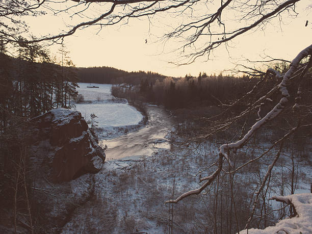 istock snowy winter forest with snow covered trees - retro vintage 532339217