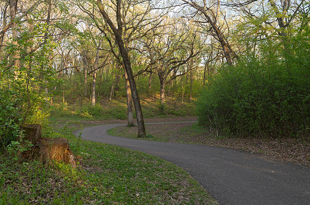 winding paved trail through forest at battle creek regional park in saint paul minnesota