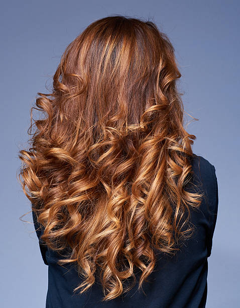 curly hair rear view of woman with long hair, curly hairstyle.beauty concept, photo taken inside studio/hair salon. ringlet stock pictures, royalty-free photos & images