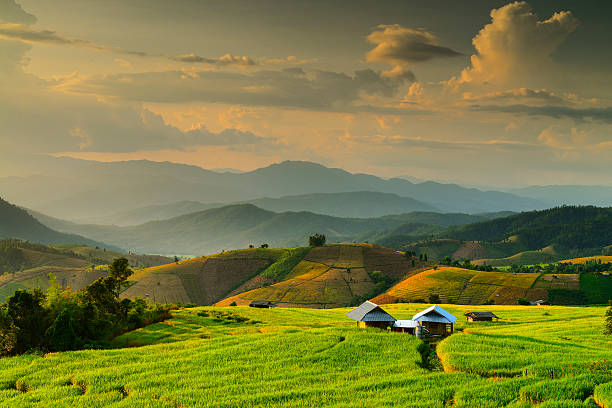 istock Terraced Rice Field , Mae Chaem, Chiang Mai, Thailand 532351165