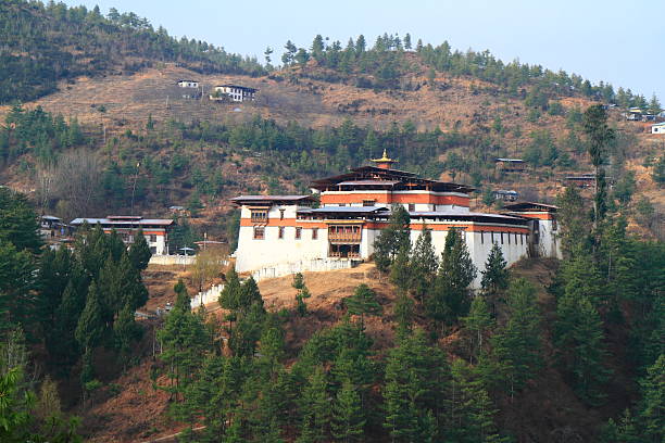istock The Semtokha Dzong 532351390