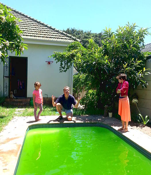 istock Father frustrated with green swimming pool 532352779