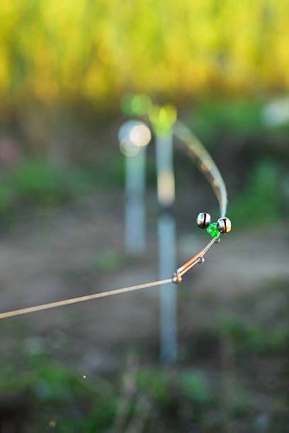 istock The rod closeup. 532353118