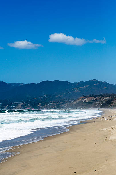 istock Waves of the Pacific ocean, the beach landscape 532353434