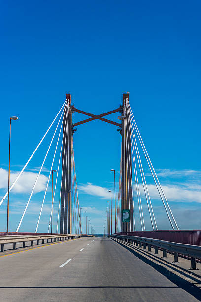 The Zarate Brazo Largo Bridges are two cable-stayed road and railway bridges in Argentina, crossing the Parana River between the cities of Zarate, Buenos Aires, and Brazo Largo, Entre Rios.