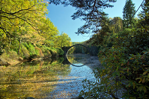 istock Autumn in the Kromlauer Park 532358255
