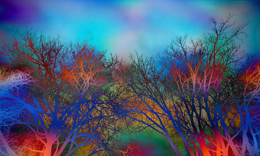 Multi colored sky and trees.