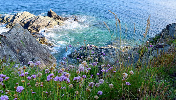 istock Landscape of Thrift 532372763